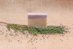 Evergreen Lavender