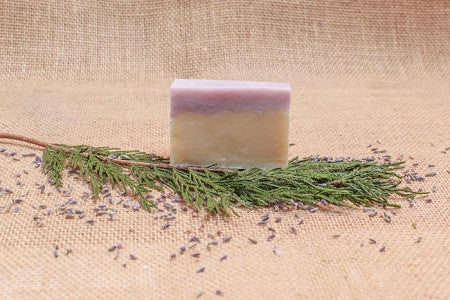 Evergreen Lavender