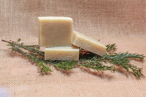 Fir Needle