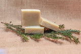 Fir Needle